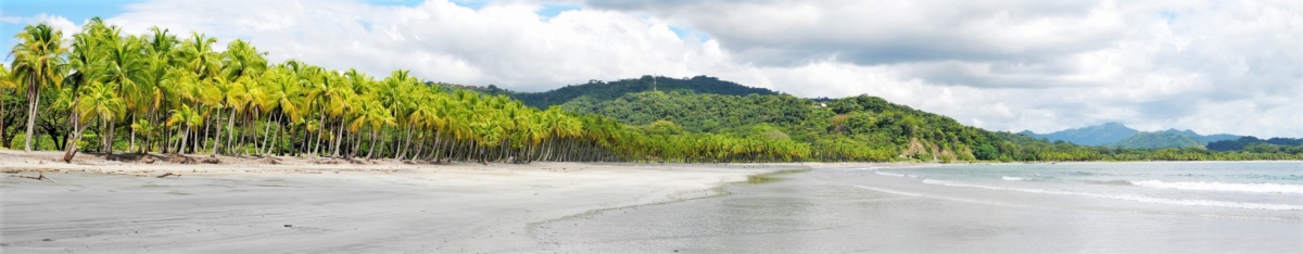 Playa Carrillo (m.prinke)  [flickr.com]  CC BY-SA 
Información sobre la licencia en 'Verificación de las fuentes de la imagen'